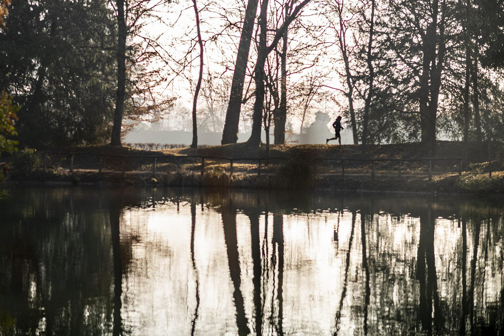 il corridore famoso mentre fa il suo allenamento quotidiano nel parco con il fiume