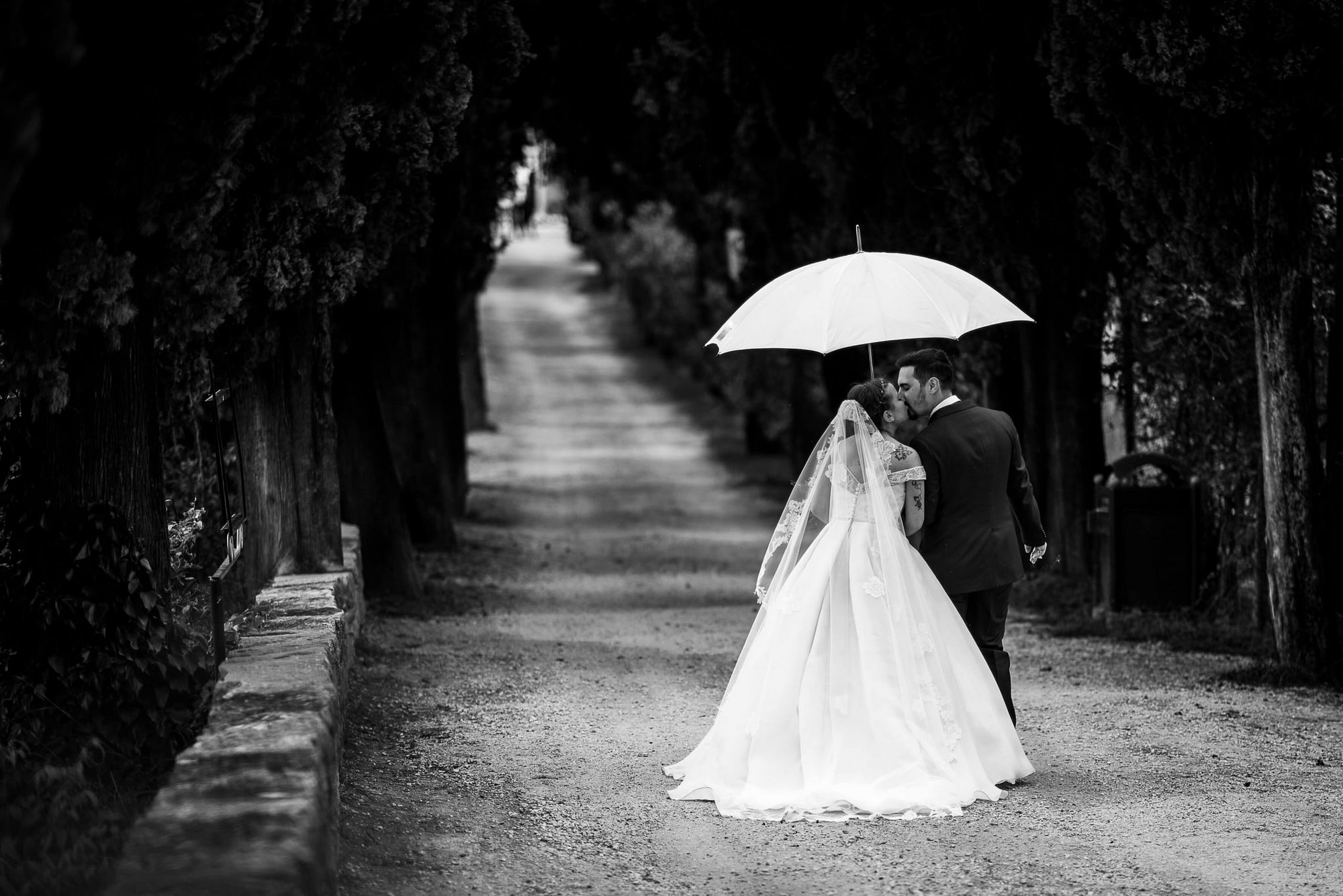 gli sposi si baciano sotto l'ombrello in un viale alberato